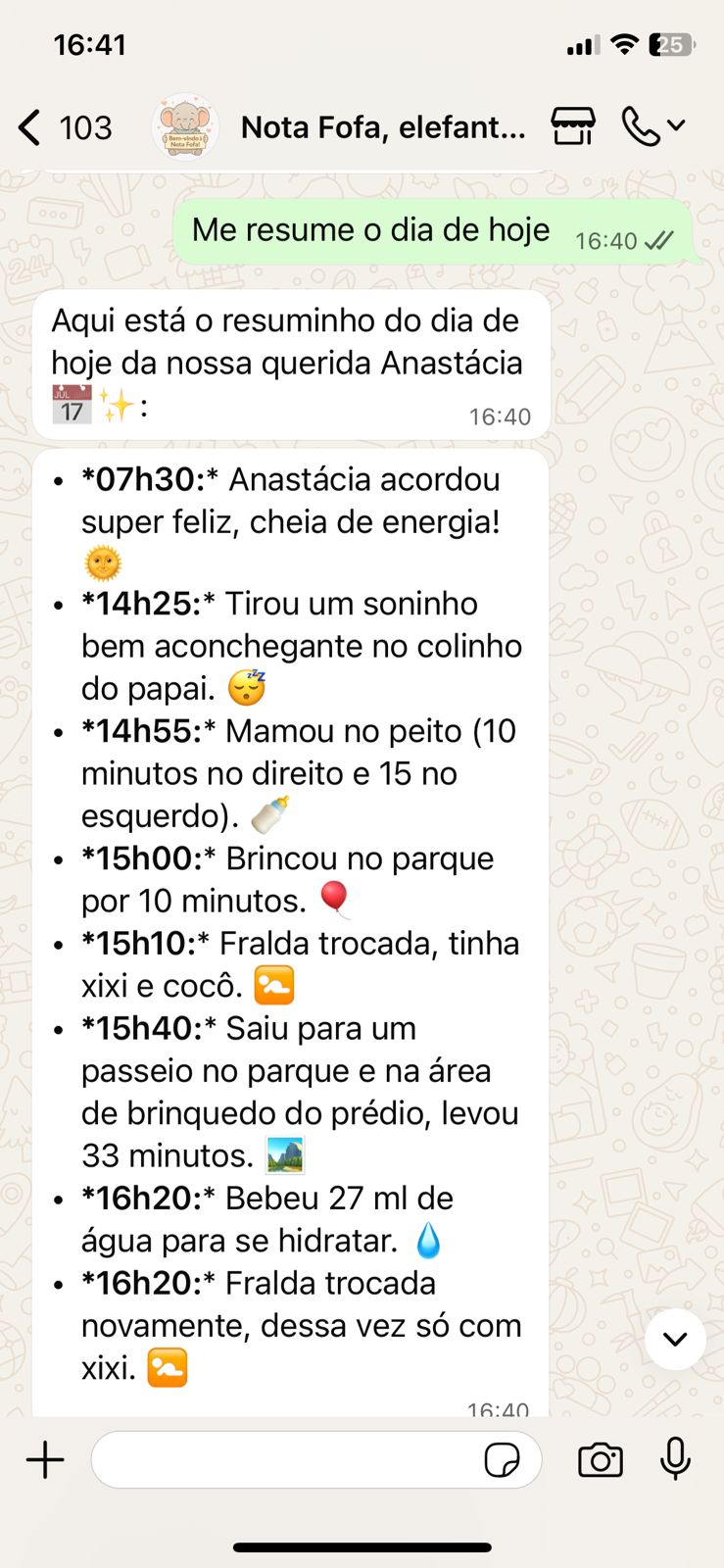 Exemplo WhatsApp 4